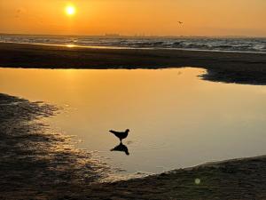 Sea View Sunset Studio Prima 76 by Sealuu