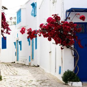 Au coeur de village de sidi bou