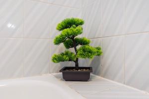 Spacious and Central, 6 min Walk to Beach