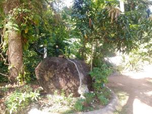 Green Place Hikkaduwa