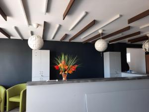 Apartament LAVENDER 24 - do 3 osób, aneks kuchenny i balkon