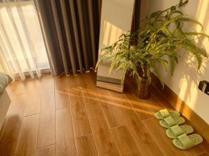 COZY HOME - Green kitchen with 2 bedrooms