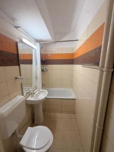 Cismigiu Universitate View