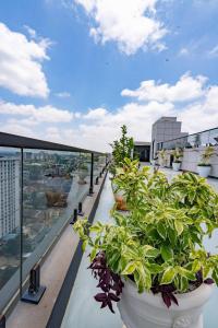 Misty Springs Apartments Westlands