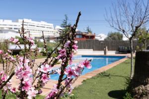 Casa Vincke apartment with private pool and seeview