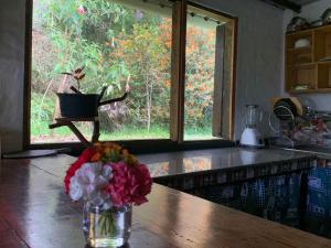 URKU ALLIPACHA FINCA ORGÁNICA CASA DE CAMPO