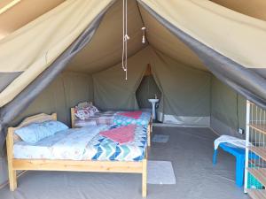 Oloirien camps