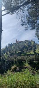 Casa Patio de la Antigua