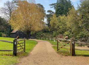 Charming Woodland Cottage with Hot Tub Near Battle