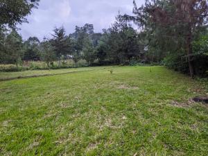 Magamba eco-cultural tourism Farm Stay & Campsite