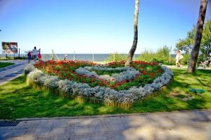 Comfortable holiday home No 9 , summer pool