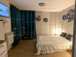 Studio cabine vue lac - 4 pers. - FR-1-295-217