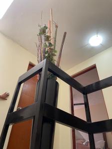 Entire house in fraccionamiento Bahia Azul