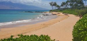 Wailea Elua #102 Beautifully Remodeled Ocean View short walk to beach, shops