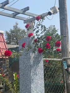 Vùng ven Homestay
