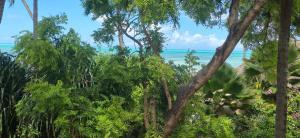 The Twende Villa on Beach