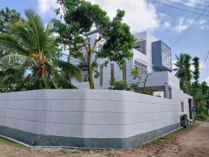 The white house