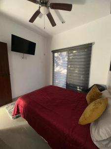 Apartment 400 meters from the sea