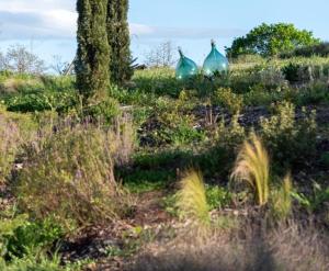 PaterMater b&b - Tuscany Retreat
