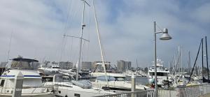 2-Bedroom Apartment near ALX Airport and the Ocean