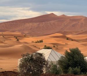 Horaz luxury Camp