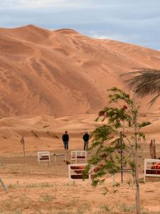 Horaz luxury Camp