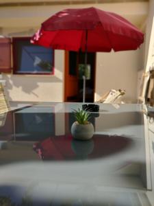 Studio 200 meters from the sea with garden