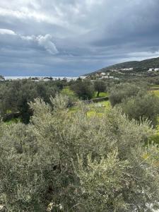 Villa Perivoli