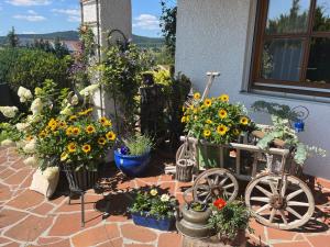 Ferienwohnung Sonnenblick