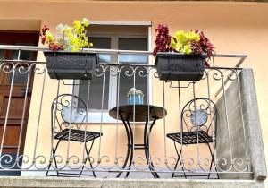 Charming and Typical Cottage with Private Pergola