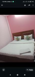 SURYA PALACE o