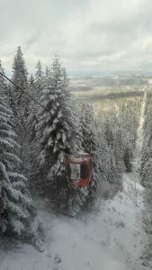 Chamkoria Borovets luxury apartment view