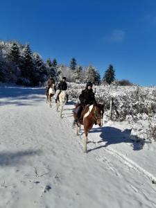 Chamkoria Borovets luxury apartment view