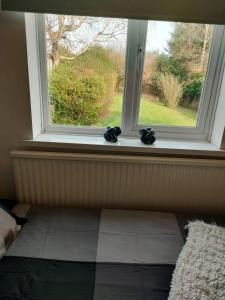 4 BED BBQ PARKING QMC UNIVERSITY HOCKEY MEETINGS Parkland