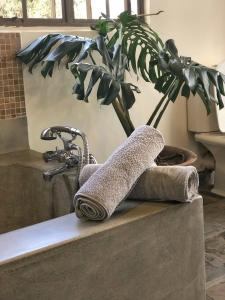 Longonot Loft