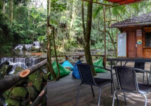 Glamping Camphills