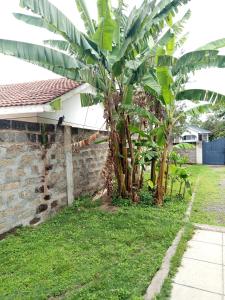 Kitengela pearl haven