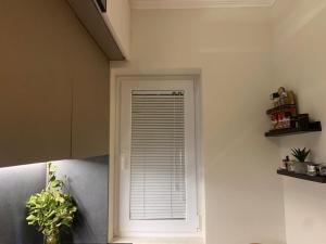 tirana cozy apartment
