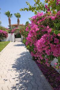 Villa Organic Dalyan - 6 Person Private Luxury Villa