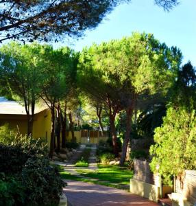 Residenza Abbaechelu T6 2 bedroom apartment sleeps 6 unit 2