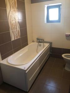 Vila cu trandafiri Cozy Apartments 2 camere