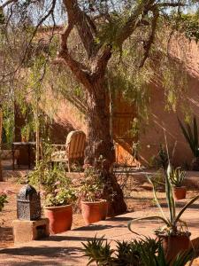 La Ferme Berbere