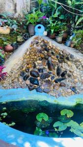 Cool Breeze Guest Inn Diyathalawa