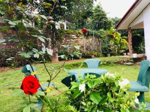 Cool Breeze Guest Inn Diyathalawa