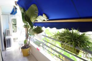 Seasonal rental Nice 50e per person per night