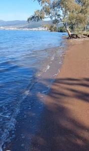 Villa Laguna -house by the beach