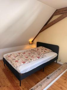 Dachstudio in tierfreundlicher Hofreite