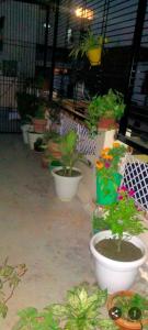 Shri Kashi Home Stay