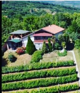 Apartment Noletov vidikovac