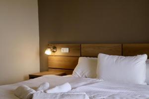 Hotel Horizont Telavi